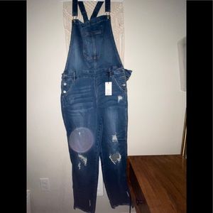 Plus Size Judy Blue Overalls